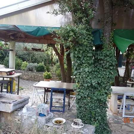 Apartment In Pula - Istrien 10835 公寓 普耶斯察纳乌瓦拉
